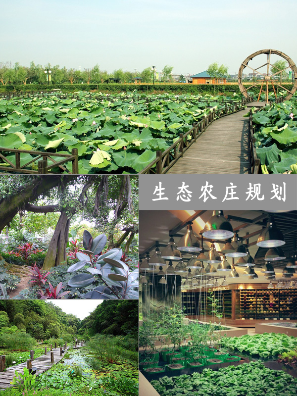 生態(tài)農莊規(guī)劃
